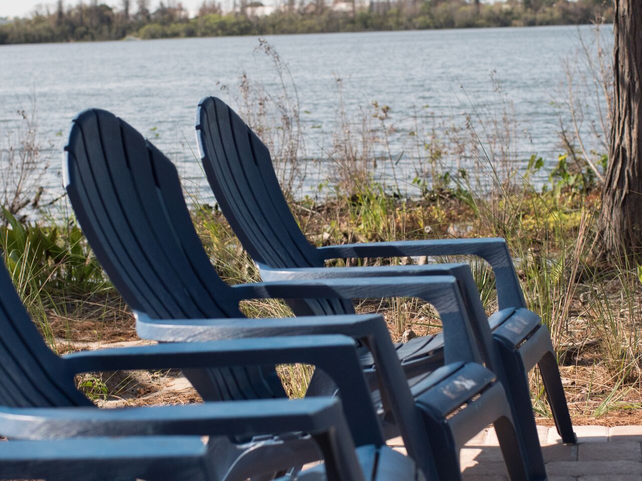 The shore of Lake Ellenor near Orlando Recovery Center