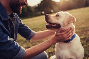 Addiction recovery